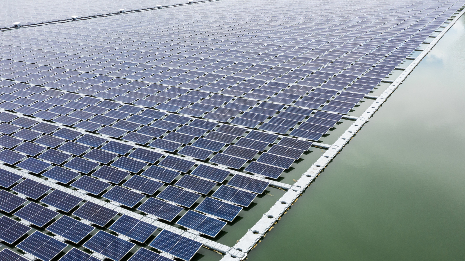 bgr.com - Trevor Mogg - The Biggest Obstacle To This Offshore Solar Farm Isn't Saltwater - It's Barnacles