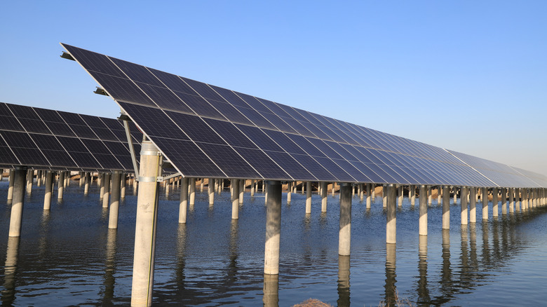 Solar panels supported by concrete pillars built into sea or riverbed.