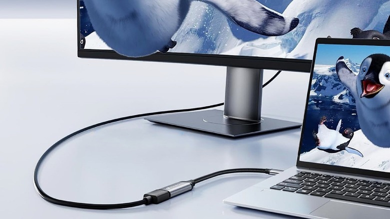 Reborn USB to HDMI adapter used with monitors