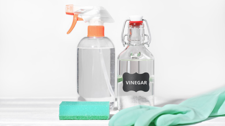 Photo of cleaning vinegar alongside a spray bottle, sponge, and glove