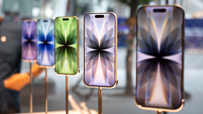 A lineup of iPhone 17 models showing multiple colors on their home screens.