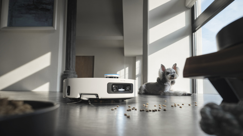 Dreame Aqua10 Ultra Roller vacuum picking up dog food
