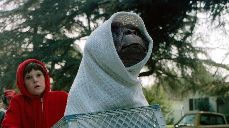 E.T. sitting in a bike basket in 
