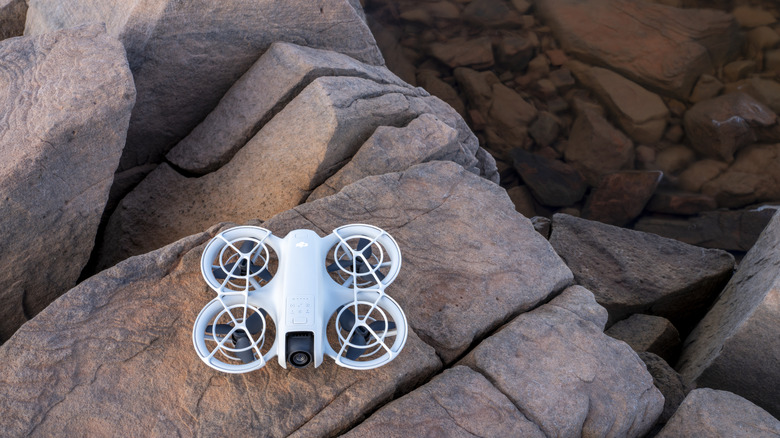 DJI Neo Mini drone landed on a rock outcropping.