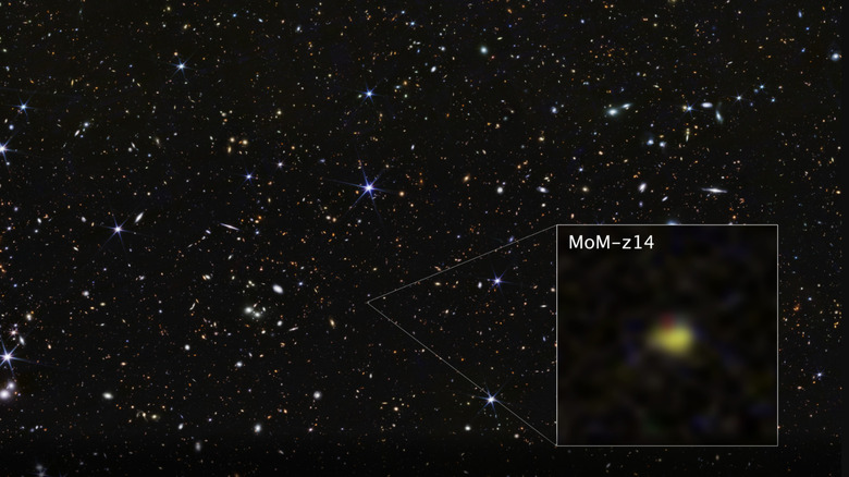 MoM-z14, situated within a vast sky of bright stars, appears as a bright yellow burst of color.