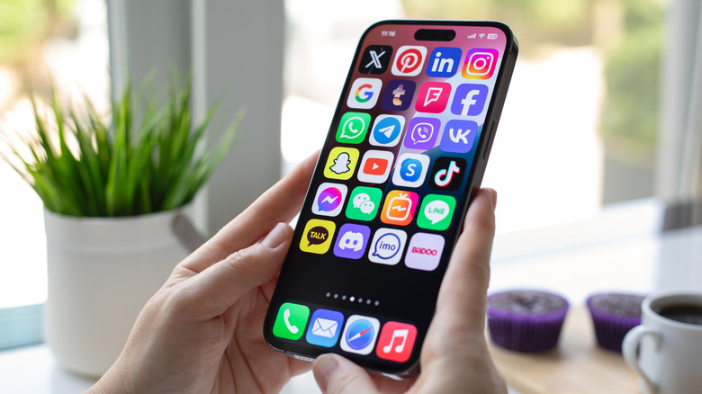 The iPhone 15 Pro Max in hand.