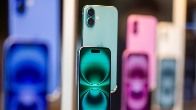 iPhone 16 models