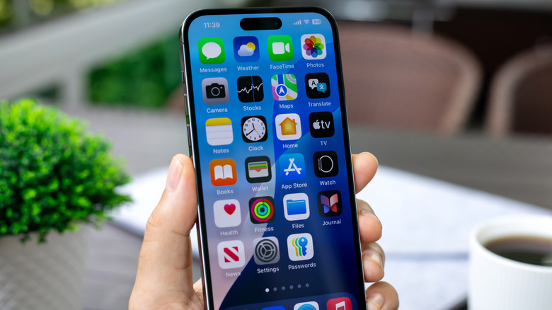 An iPhone showing the apps on the Home Screen.