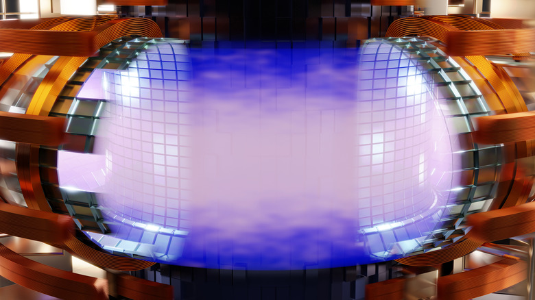 Tokamak with sustained nuclear fusion