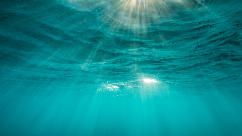 Underwater photo with light coming through the surface
