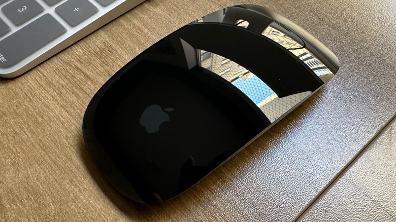 Close-up shot of the Magic Mouse