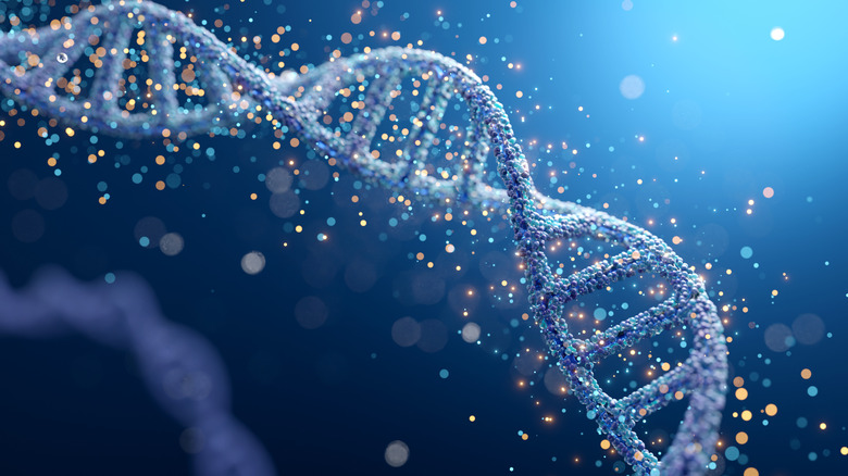 Artistic rendition of DNA against a blue backdrop