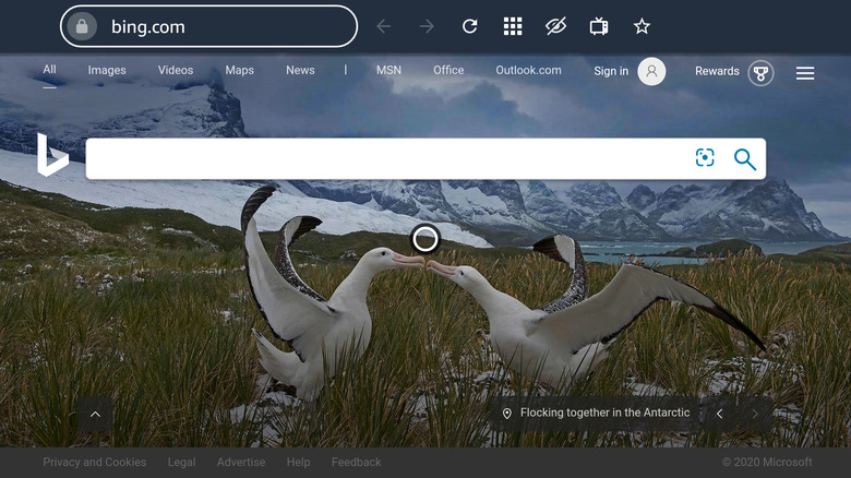 The Amazon Silk browser being used to access Bing.com.