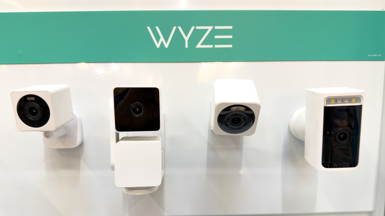 An assortment of Wyze cameras on display