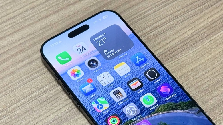 iPhone 16 Pro Max's Home Screen