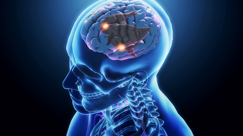 illustration of the brain with certain areas lighting up