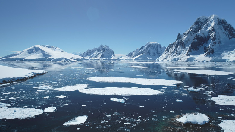 glacial melt in Antarctica