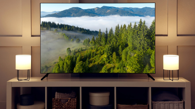 A TV showing a mountain scene, sitting on a low, long TV stand with shelving underneath