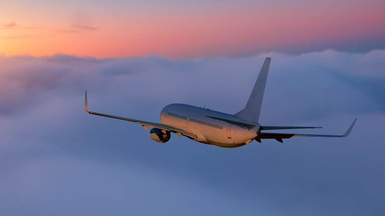 Commercial plane in flight
