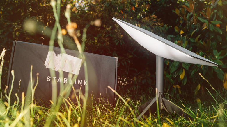 A Starlink dish placed on grass alongside a box with the company name on it