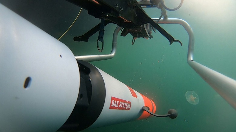 An image of the Archerfish minesweeping platform