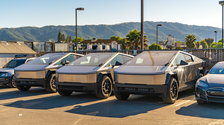 Three silver Tesla Cybertrucks are parked next to each other between two other vehicles, a lush hill can be seen in the distance