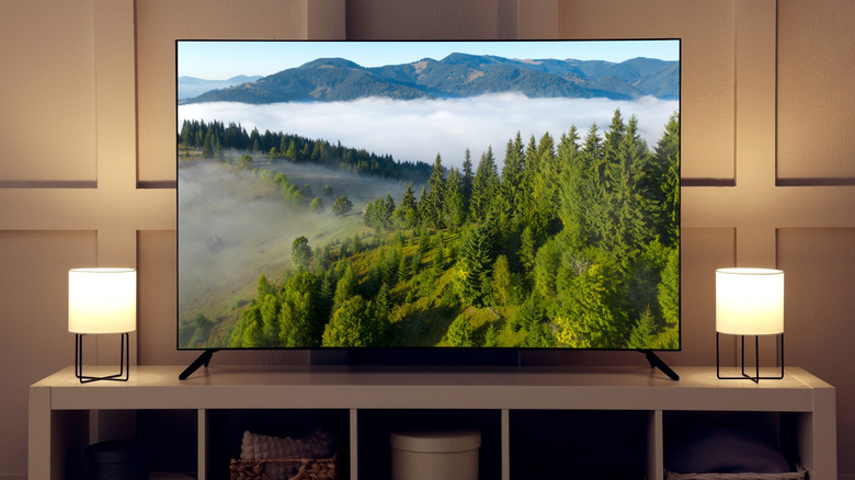 A TV showing a mountainous scene on screen.