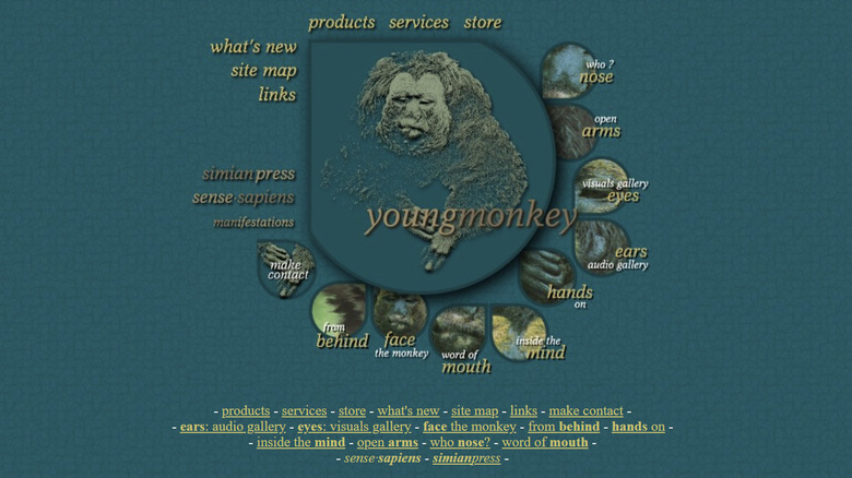 Screenshot of the Youngmonkey home page