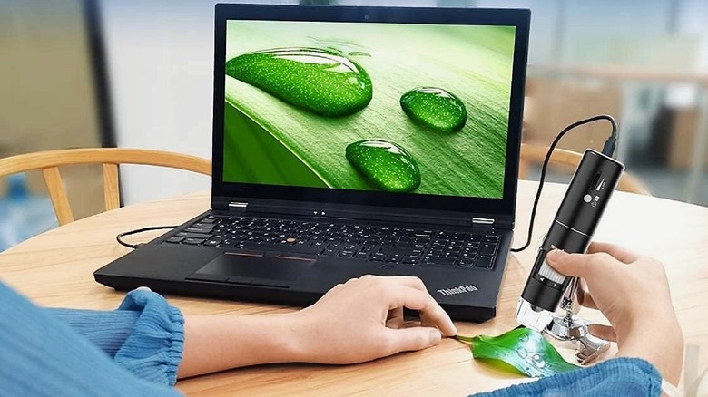 Skybasic portable USB microscope for use at home.