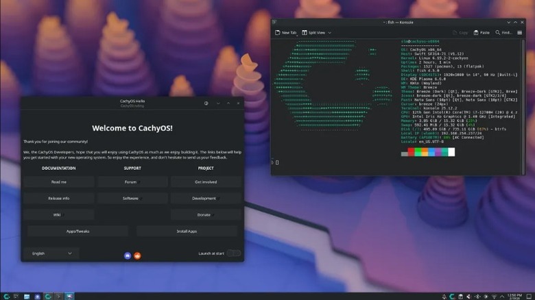 Desktop on CachyOS with a couple windows open.
