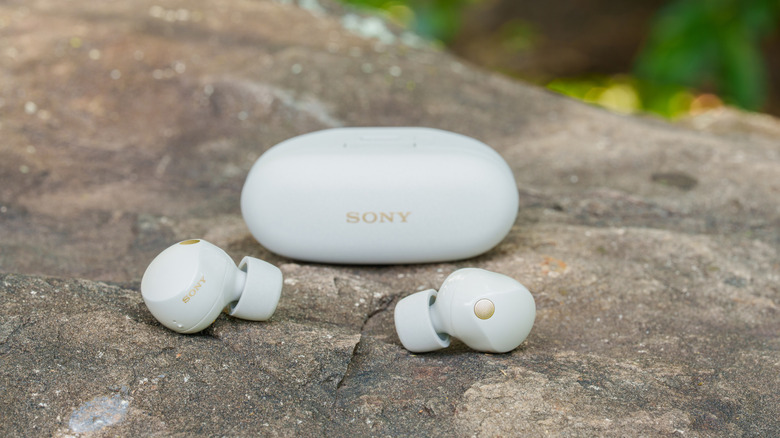 The Sony WF-1000XM5 (Silver) staged on a rock in an outdoor setting.