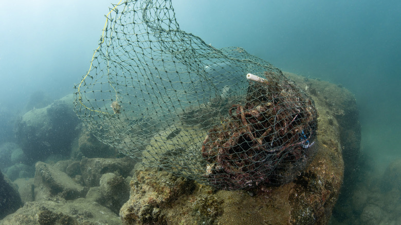 Ocean debris underwater