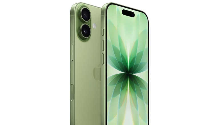 The standard iPhone 17 model in green