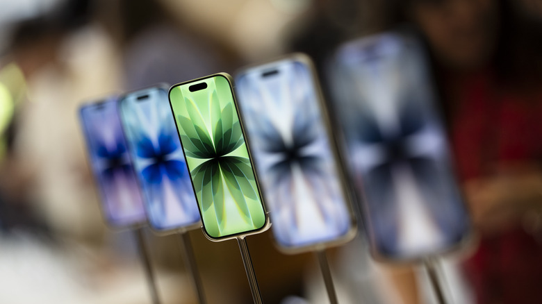 The standard iPhone 17 model on display.