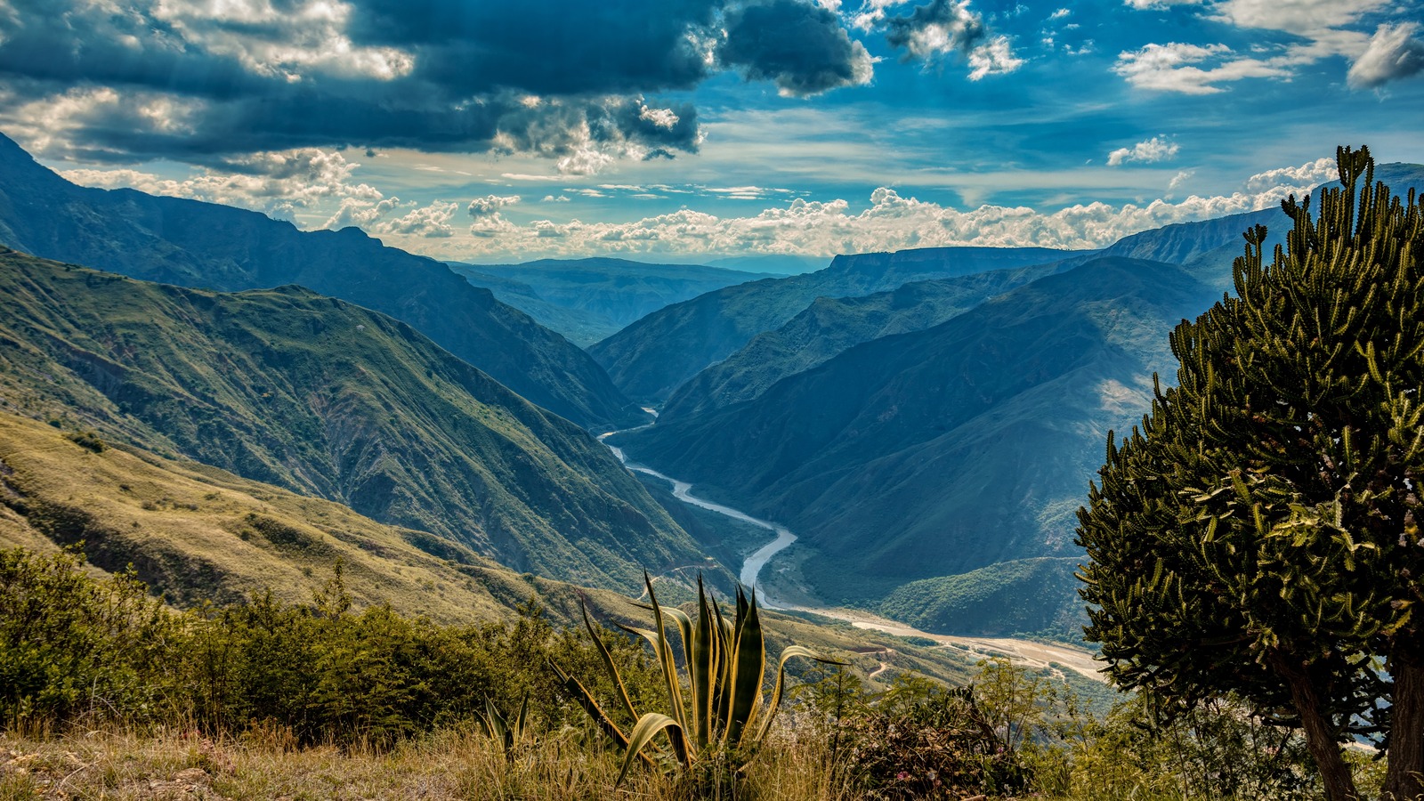 These Mysterious 6,000-Year Old Remains Might Tell The Story Of A Tribe That Disappeared