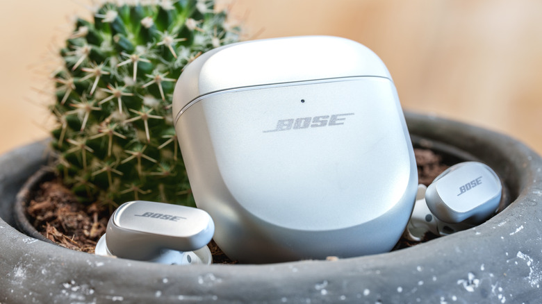 Close-up of bose wireless earbuds in a planter with a succulent