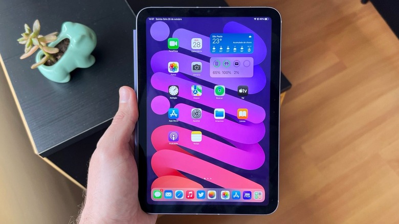 A man holds an iPad mini near a plant