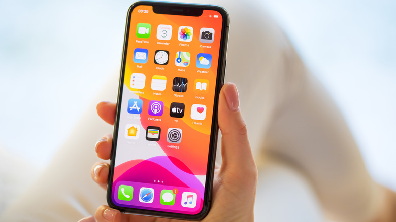 Close-up of a person holding the iPhone 11 Pro
