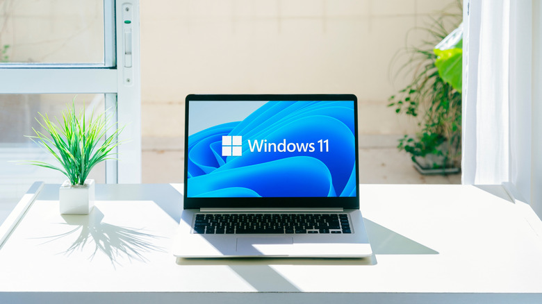 A Windows 11 logo on a laptop screen