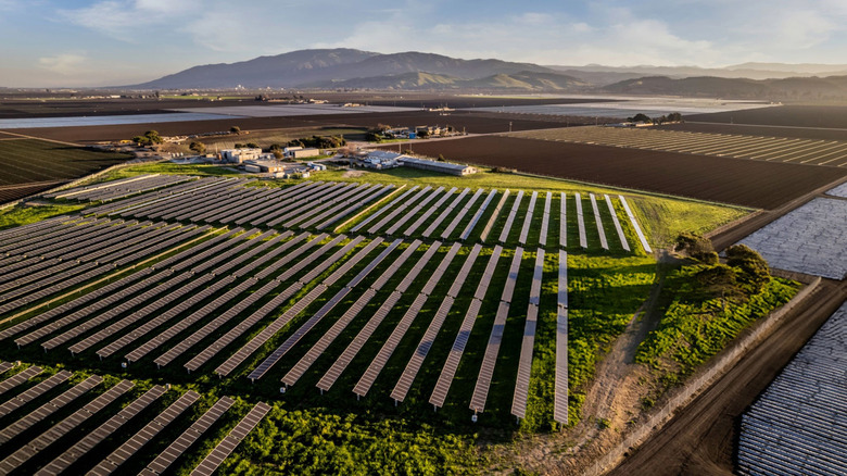 Rows of solar panels on a solar farm in California