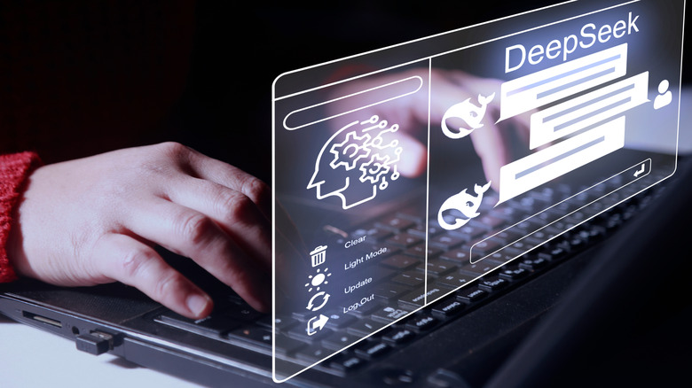 A person pulls up DeepSeek on their computer.
