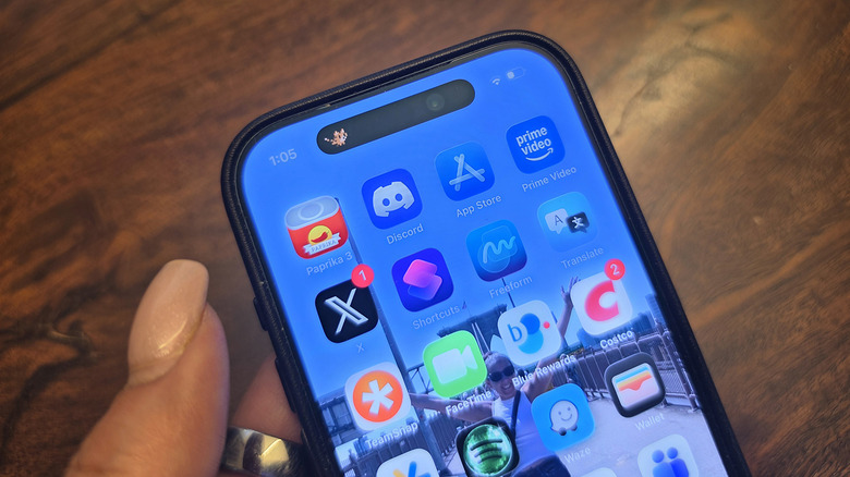The top part of an iPhone showing a Pixel Pal in the Dynamic Island.