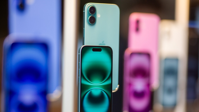 A row of iPhone 16 devices, some facing forward and others facing backward.