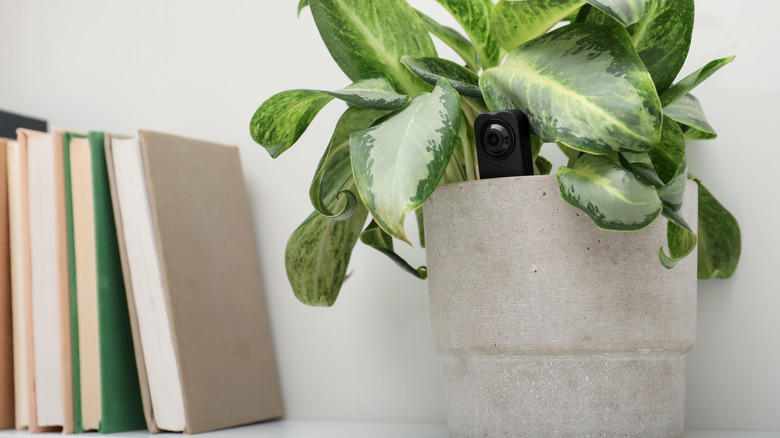 Hidden spy camera barely visible in planter on a bookshelf.