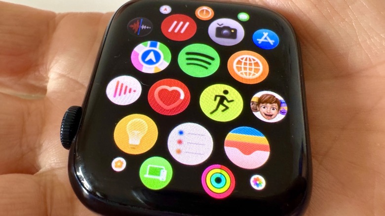 An Apple Watch without a strap.
