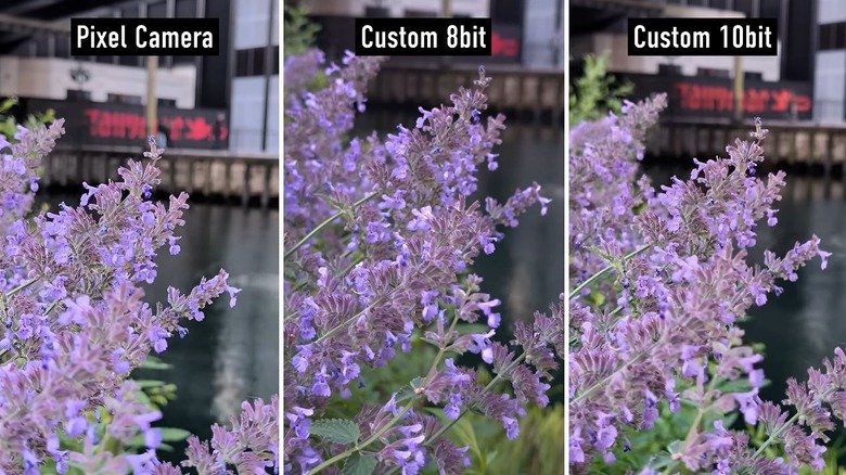 Screenshot of the Native Camera being used to record video in different formats.