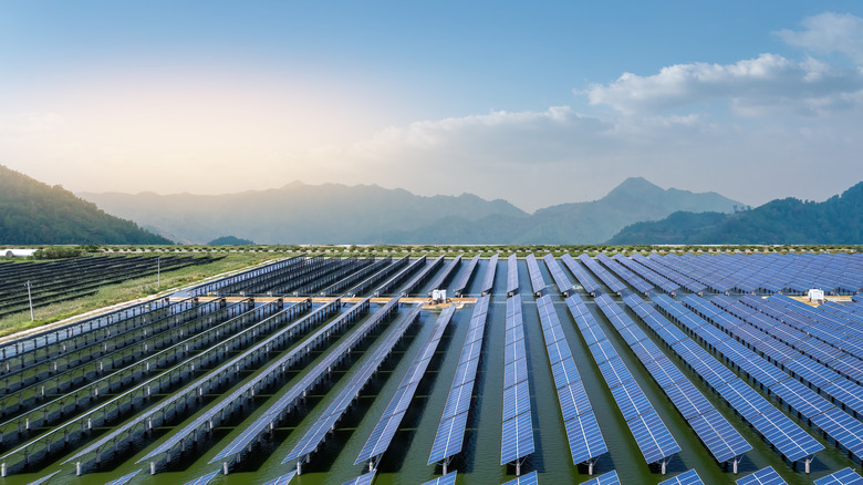 A large solar farm with mountains in the background