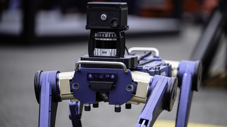A quadrupedal robot equipped with a LiDAR sensor.