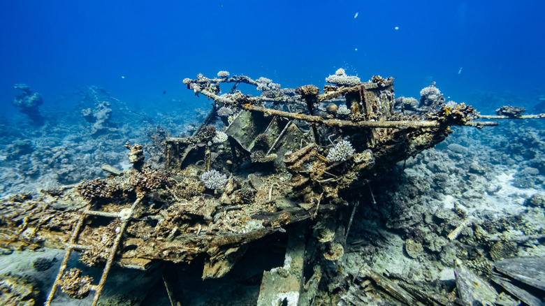 An underwater shipwreck metal structure on display