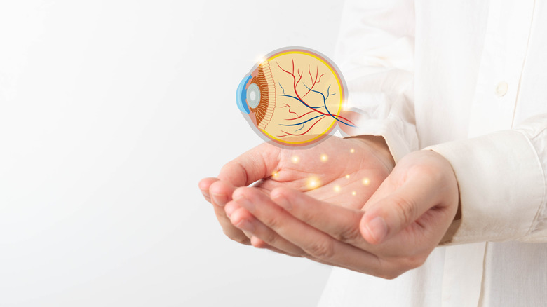 Visual representation and anatomy of the human eye.